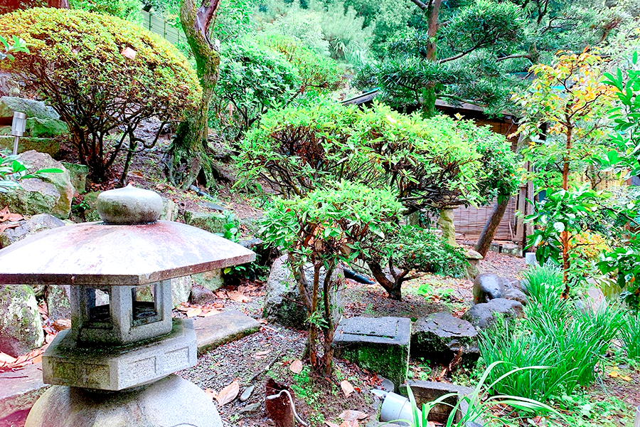 中庭